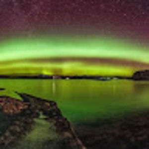 Meet your Posher, Talia